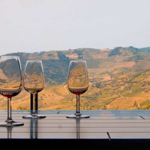 Wine Tasting Tour Gift Card