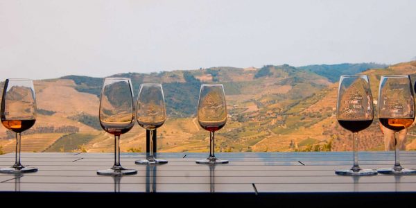 Wine Tasting Tour Gift Card