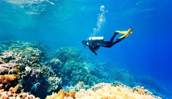 Scuba Diving Adventure Pass